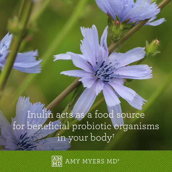 A purple flower - Inulin acts as food for probiotic organisms - Amy Myers MD®